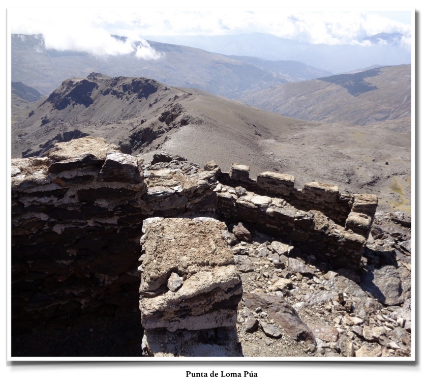 Punta_de_Loma_Púa_jamonarna